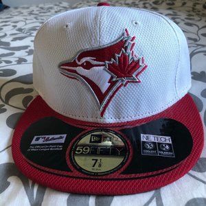 Toronto Blue Jays Fitted Hat